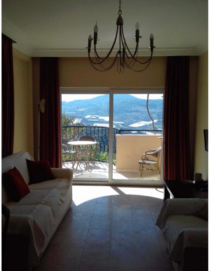 Goldcity Villa Αλάνια Εξωτερικό φωτογραφία